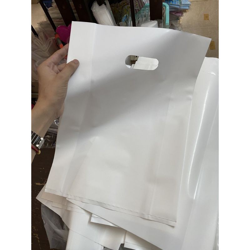Báo giá túi hột xoài