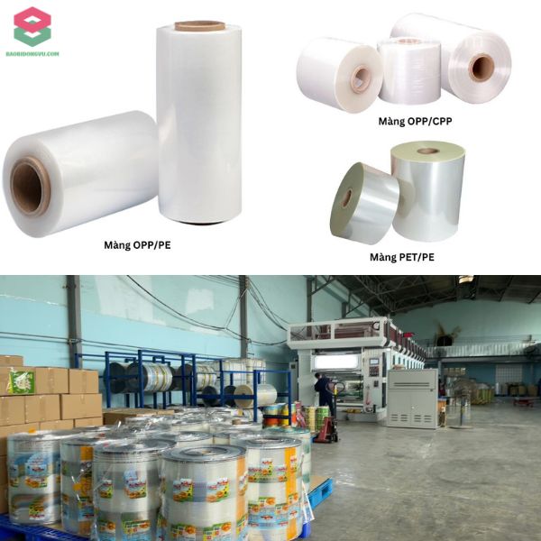 Vật liệu cấu tạo bao bì tại xưởng Đông Vũ