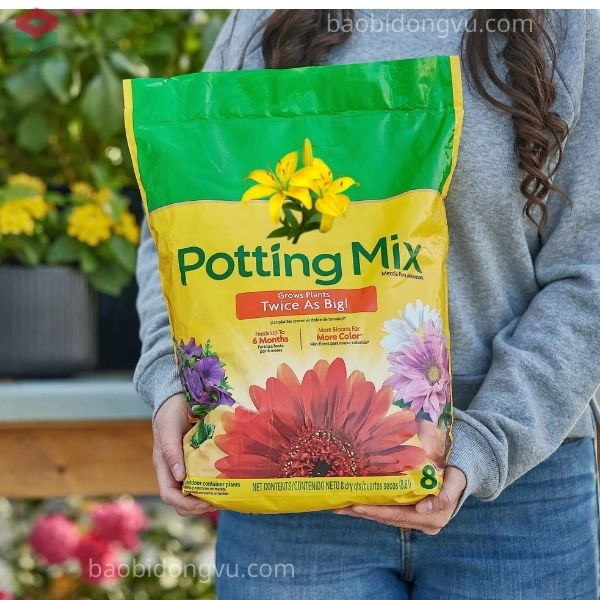 Mẫu bao bì đất trồng đẹp