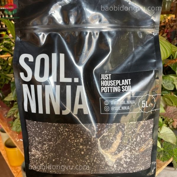 Bao bì đất trồng thiết kế cửa sổ