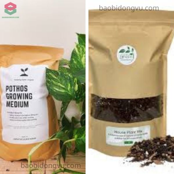 Mẫu bao bì giá thể kraft