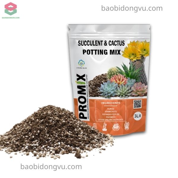 Túi zipper đáy đứng đa năng