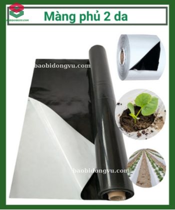 màng phủ nông nghiệp đen bạc