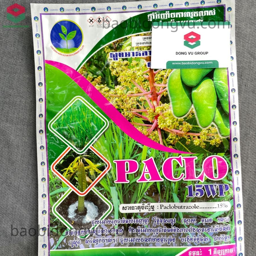 Bao bì thuốc thực vật từ Bao bì Đông Vũ