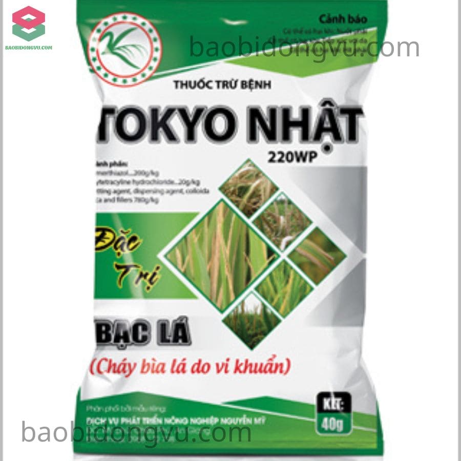 Túi xếp hông (hàn lưng)