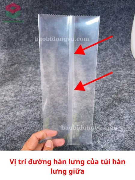 vị trí đường hàn lưng giữa của túi hàn lưng giữa
