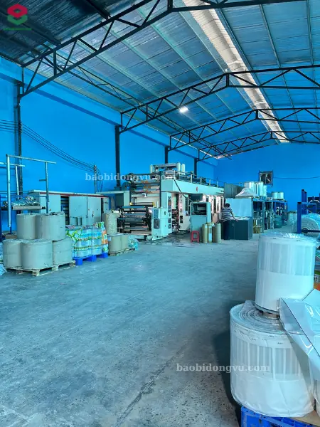 Hình ảnh nhà xưởng sản xuất và in ấn bao bì Đông Vũ