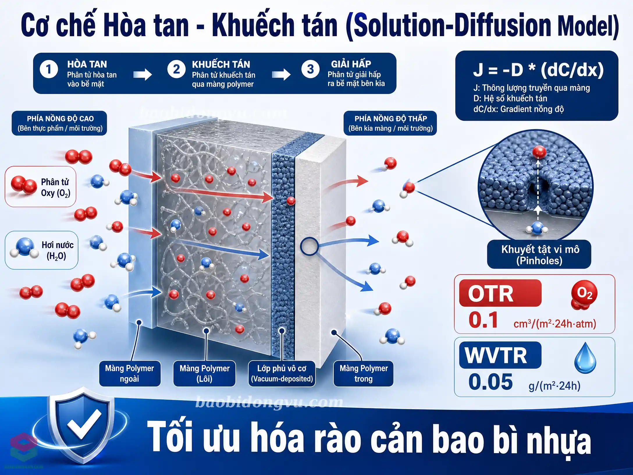 Cơ chế hòa tan khuếch tán phân tử khí qua lớp màng phủ vô cơ SiOx và AlOx