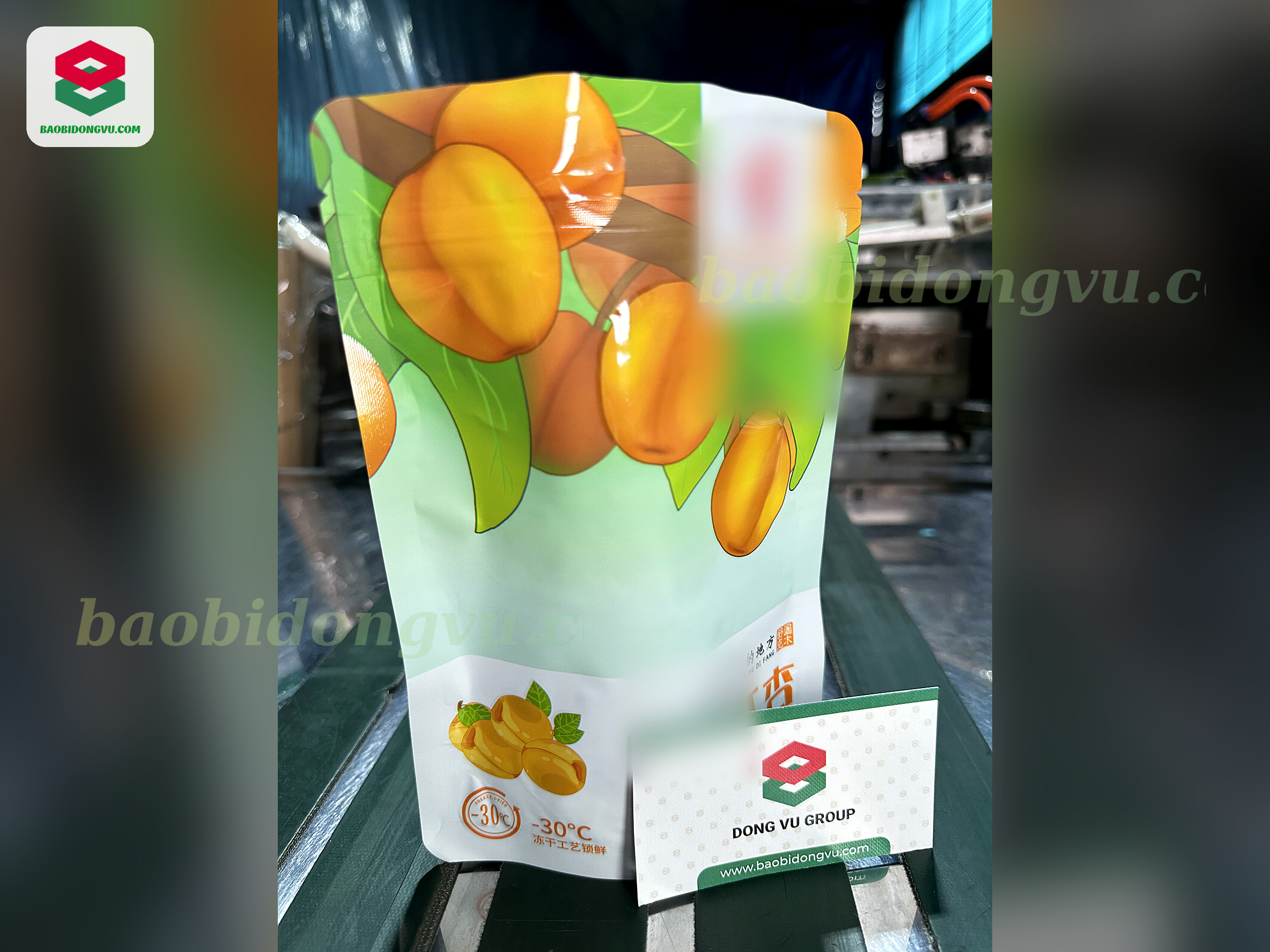 Glossy printed stand-up pouch for dried fruit with fruit illustration, flexible packaging made in Vietnam