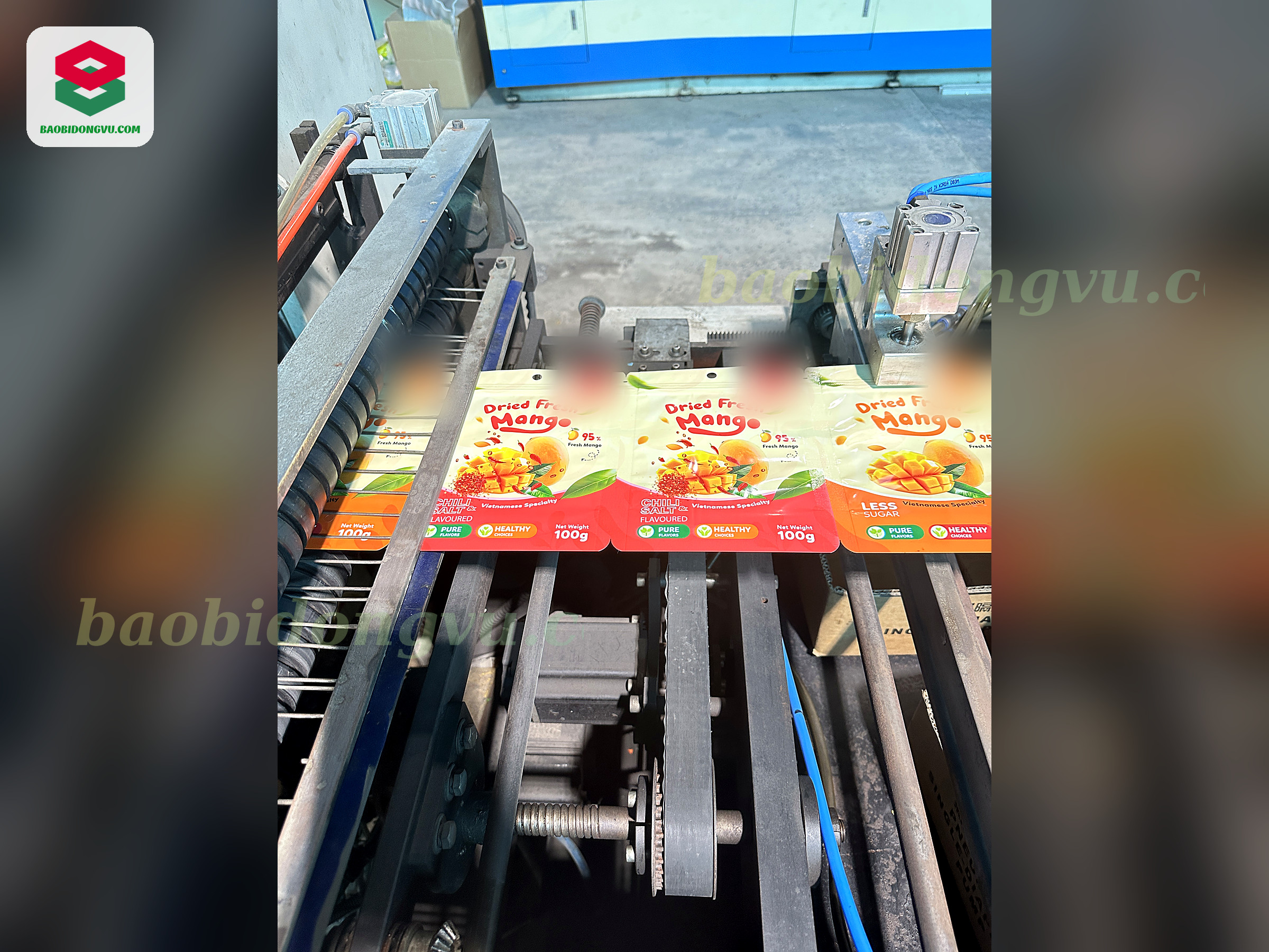 Printed stand-up pouches on the automatic bag-making line at Dong Vu Packaging factory, Ho Chi Minh City